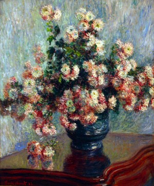 Chrysanthemum Flowers_OSG